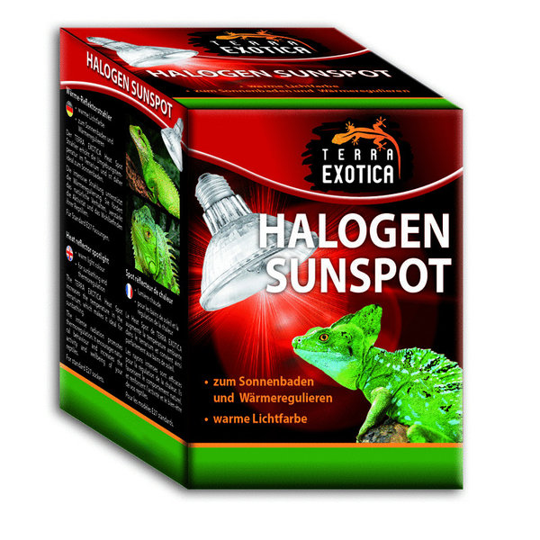 Halogen Sunspot 50 Watt - Halogen Spotstrahler