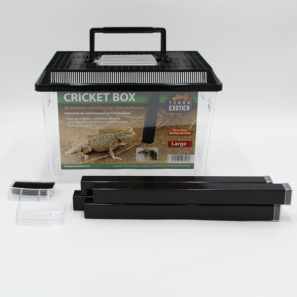 Cricket Box - large 30 x 19,5 x 20,5 cm