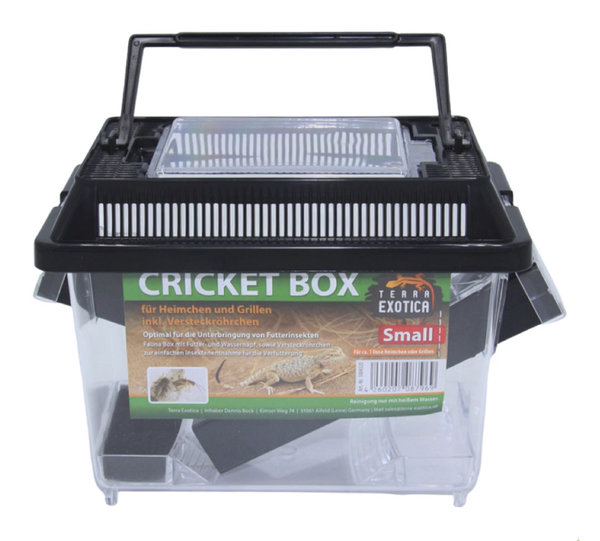 Cricket Box - small 18 x 11 x 14 cm
