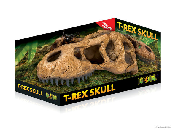 Exo Terra T-Rex Skull (das Fossiles Versteck) large